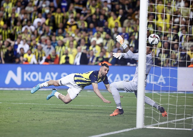 天气因素的 天气因素的