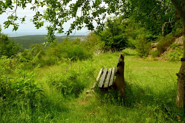 赛前战略部 赛前战略部