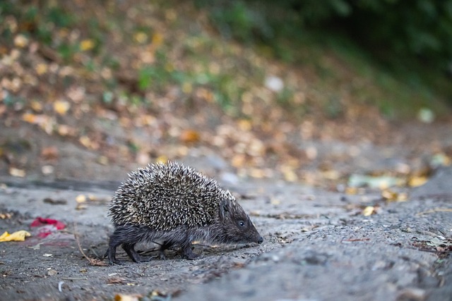 通过不断地 通过不断地