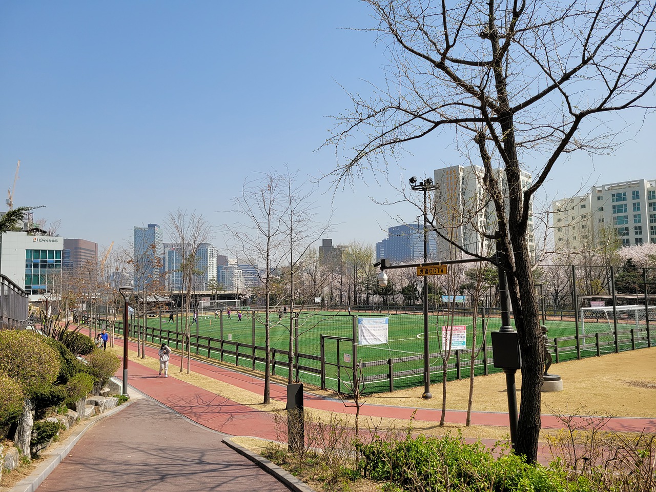 拜仁的成功 拜仁的成功