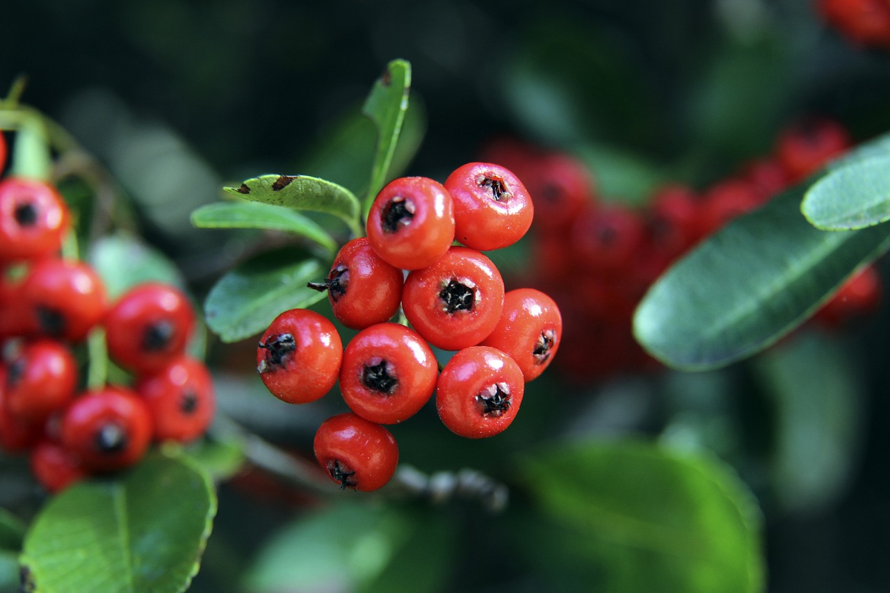 通过这些训 通过这些训