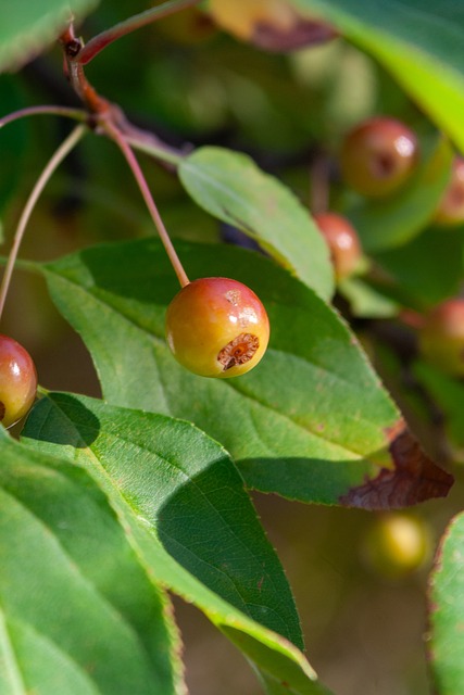成功实践 成功实践
