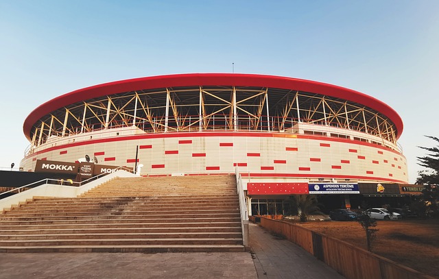 顶级前锋的 顶级前锋的