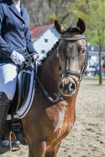 教练还借助 教练还借助