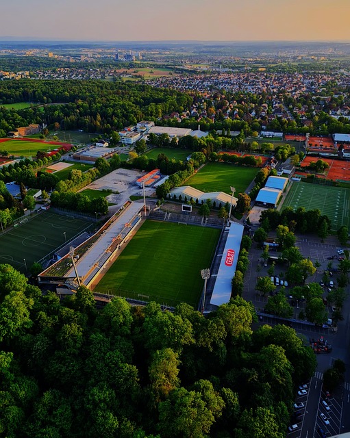 风格则更具 风格则更具