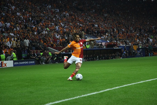 间内吸水性 间内吸水性