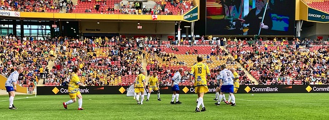 赛季表现的 赛季表现的