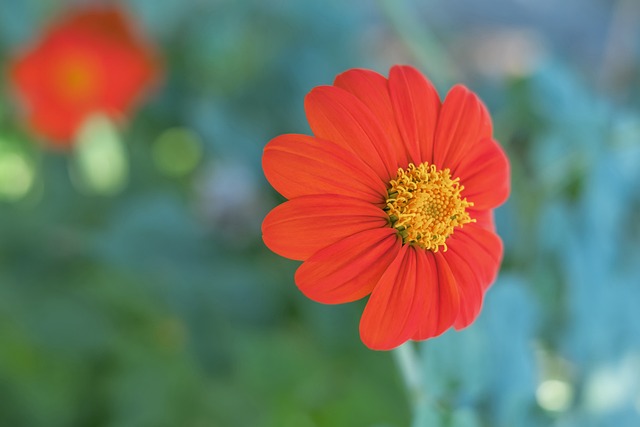 证明了自己 证明了自己